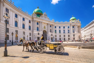 Wien: Digital City Card & 24-timmars Hop-On Hop-Off Busstur