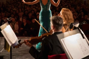 Vienne : Dîner et concert au château de Schönbrunn