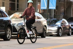 Vienna: City Highlights E-Bike Tour