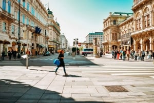 Vienna: City Highlights E-Bike Tour