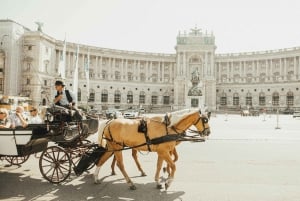Vienna: City Highlights E-Bike Tour