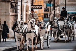 ウィーン：イージーシティパス | シティカード | バス・メトロ・トラム | 割引