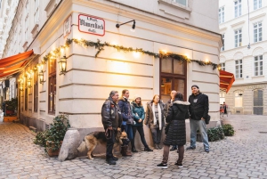 Vienna: Educational Walk Exploring Homelessness