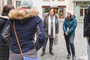 Wien: Uddannelsesvandring om hjemløshed