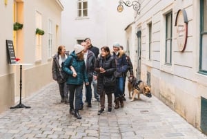 Vienna: passeggiata didattica alla scoperta dei senzatetto