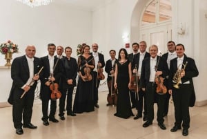 Vienne : Billets d'entrée pour un concert de Mozart et Strauss