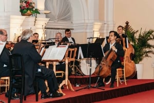 Wien: Inträdesbiljetter till Mozart- och Strauss-konsert