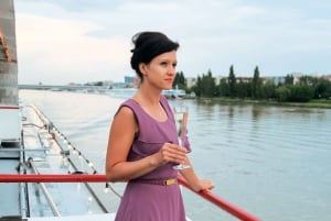 Viena: crucero por el Danubio al atardecer
