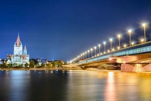 Vienna: Evening Cruise Along The Danube