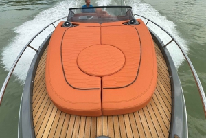 Vienne : Excursion exclusive en yacht sur le Danube