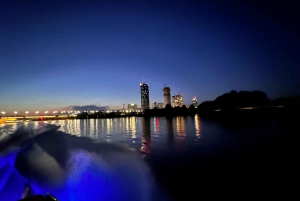 Vienne : Excursion exclusive en yacht sur le Danube