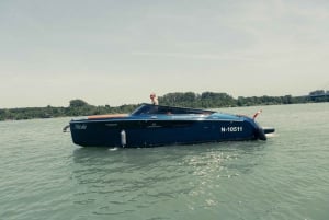 Vienne : Excursion exclusive en yacht sur le Danube
