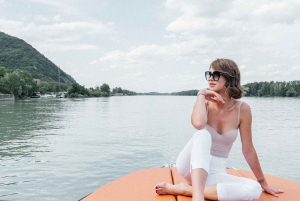 Vienne : Excursion exclusive en yacht sur le Danube