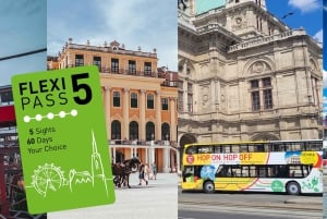 Wien FLEXI Pass Bestseller: Det bästa av Wien