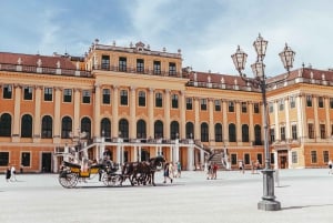 Wien FLEXI Pass Bestseller: Det bästa av Wien