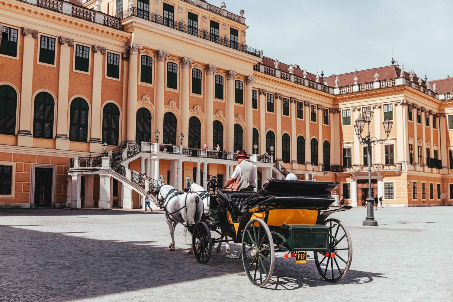 Wenen FLEXI-pas bestseller: hoogtepunten van Wenen