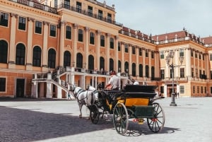 Wenen FLEXI-pas bestseller: hoogtepunten van Wenen