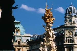 Wien: Heldags privat rundtur