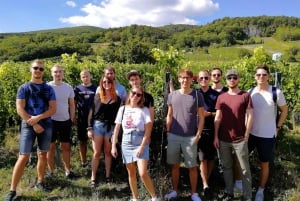Wenen: wijnproeverijtour door het Weense bos van een hele dag