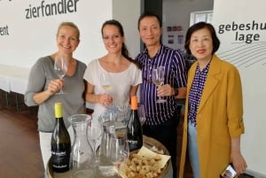 Wien: Heldagstur till Wienskogen med vinprovning