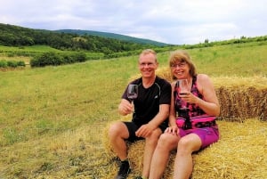Wien: Heldagstur till Wienskogen med vinprovning