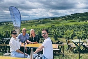 Vienna: Full-Day Vienna Woods Wine Tasting Tour