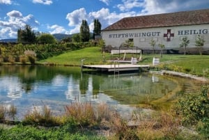 Vienna: Full-Day Vienna Woods Wine Tasting Tour