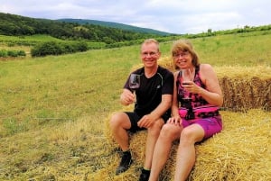 Vienna: Full-Day Vienna Woods Wine Tasting Tour