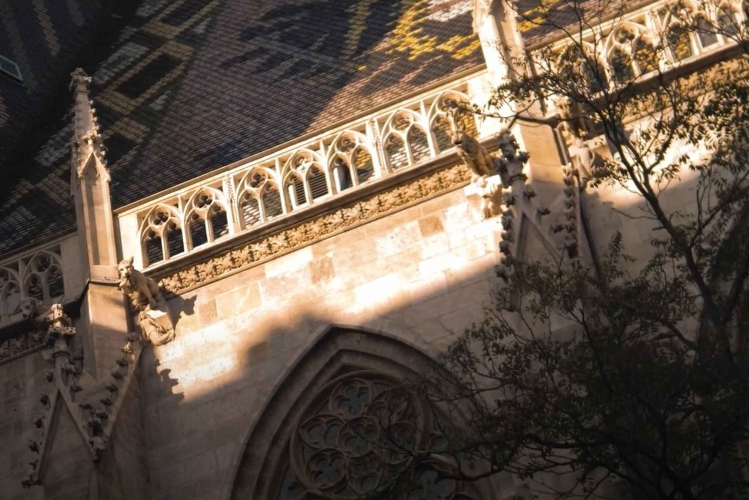 Viena: Excursão mal-assombrada a Viena, com guia de turismo alemão