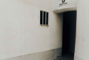 Viena: Excursão mal-assombrada a Viena, com guia de turismo alemão