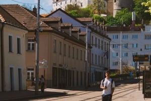 Wien: Guidet tur til Bratislava og Devín slott via Hainburg