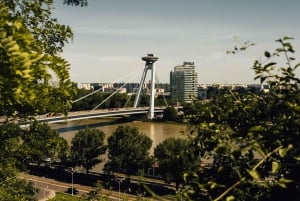 Wien: Guidet tur til Bratislava og Devín slott via Hainburg