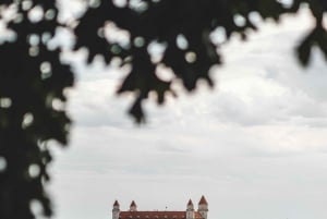 Wien: Guidet tur til Bratislava og Devín slott via Hainburg