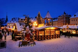 Vienna: Guided Christmas Market Tour in Hallstatt & Salzburg