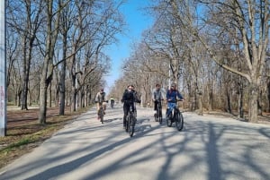 Вена: Экскурсия на электровелосипеде