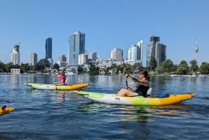 Vienna: Guided Kayaking Tour