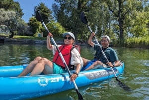 Viena: Excursión guiada en kayak