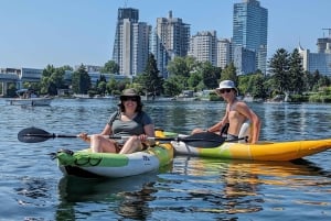 Вена: экскурсия на каяках с гидом