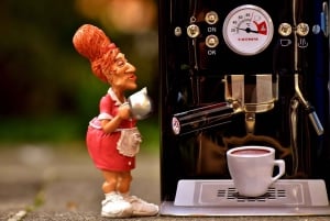 Wien: Guidad visning av Wiens kaffehus