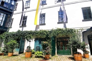 Vienna: Small Group Guided Walking Tour of City Highlights