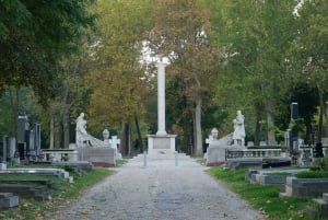 Vienne : Visite guidée à pied du cimetière central