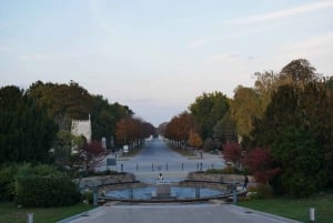 Vienne : Visite guidée à pied du cimetière central