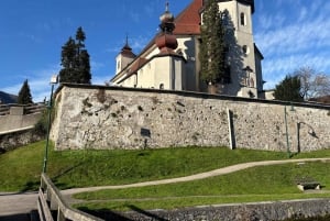 Vienna: escursione a Traunkirchen, Hallstatt e Salisburgo