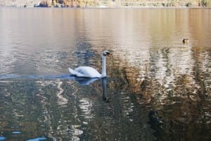 Vienne : Excursion d'une journée à Hallstatt et aux sommets alpins avec l'abbaye d'Admont
