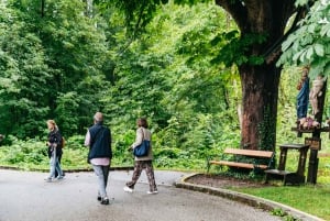 Vienna: Hallstatt & Alpine Peaks Day Trip with Skywalk Lift