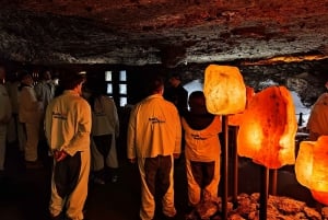 Vienna: Hallstatt Private Tour with Skywalk and Salt Mine