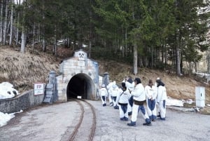 Vienna: Hallstatt Private Tour with Skywalk and Salt Mine