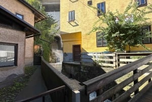 Wenen: Hallstatt Salzkammergut Dagtour met optie skywalk