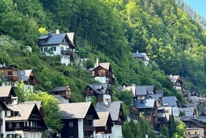 Vienna: Hallstatt, Salzkammergut Day Trip with option boat