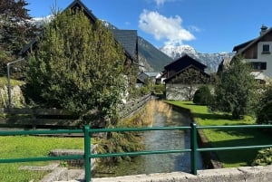 Wien: Hallstatt, Salzkammergut Tagestour mit Option Bergwerk
